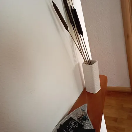 The Terrace Of San Miguel